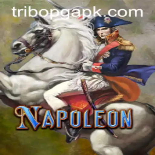 The Strategic World of Napoleon: A Dive into the Classic Card Game
