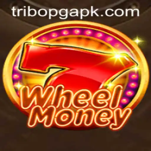 Exploring WheelMoney: The Game of Skill and Luck